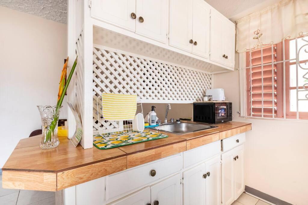 Shaw Park Gem Apt 12A Очо-Риос Экстерьер фото